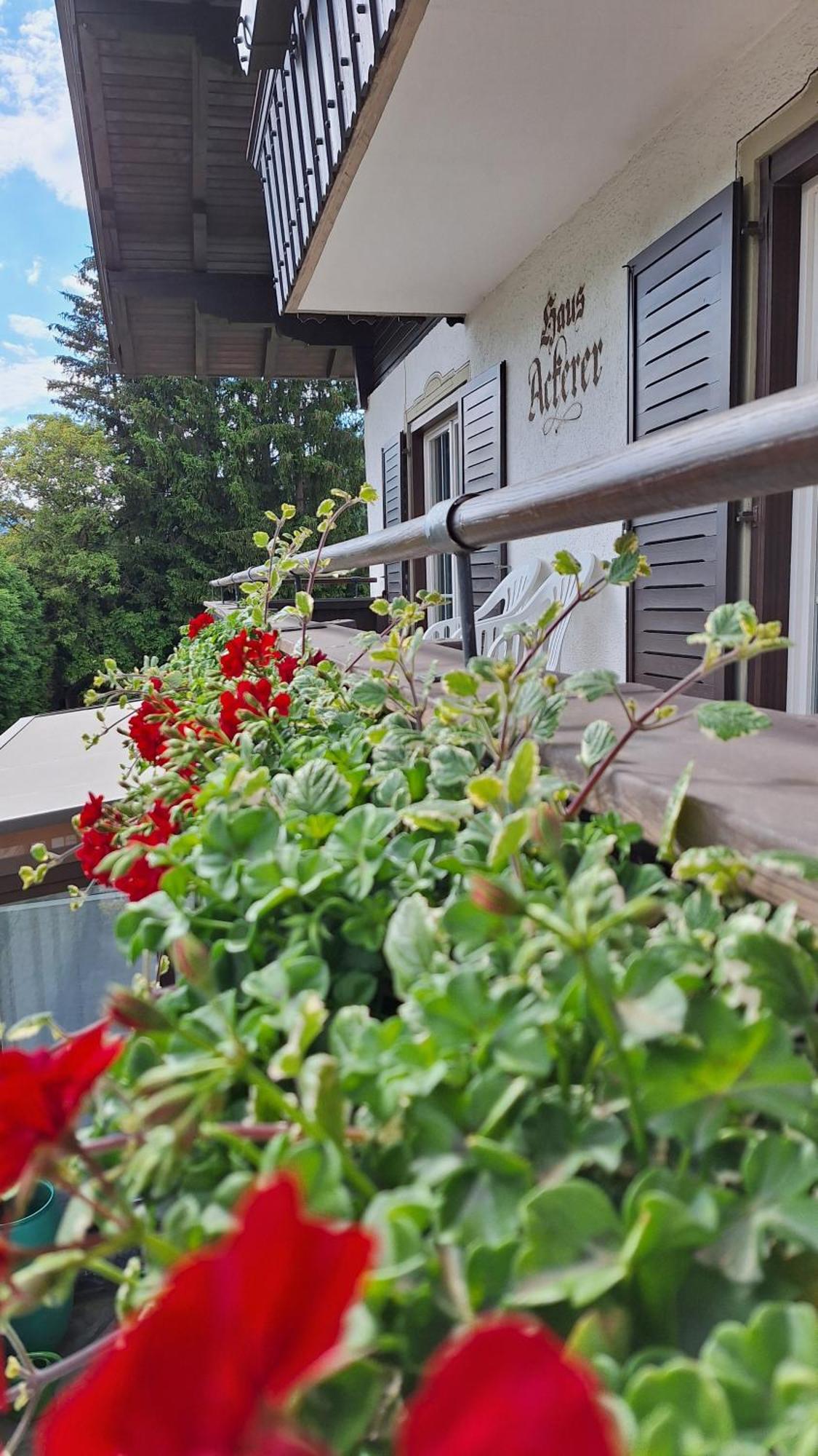 Haus Ackerer Διαμέρισμα Leogang Εξωτερικό φωτογραφία